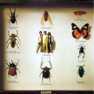 裸体大胆捆绑调教
